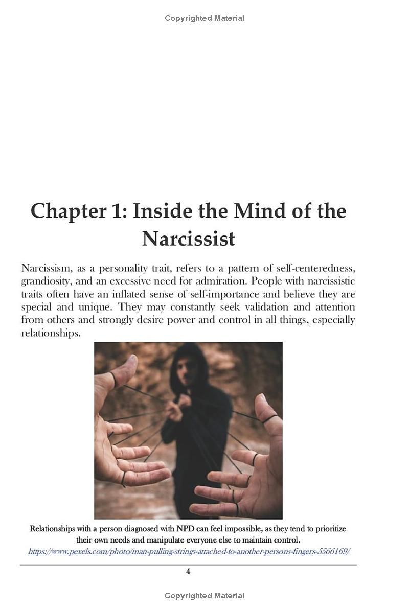 The Narcissistic Abuse Recovery Guide and Workbook: The Ultimate Toolkit for Healing and Thriving Beyond Toxic Relationships (Self-Development)