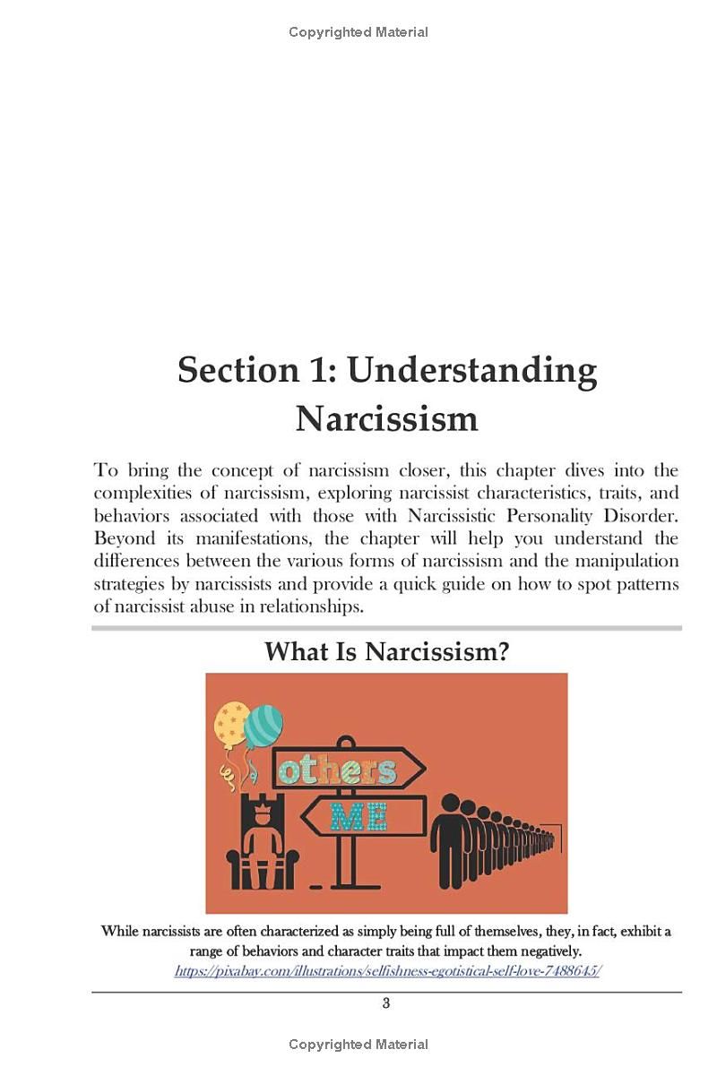 Narcissistic Abuse Recovery Workbook: A Guided Journey to Healing, Reclaiming Your Power, and Thriving Beyond Toxic Relationships (Interpersonal Mastery)