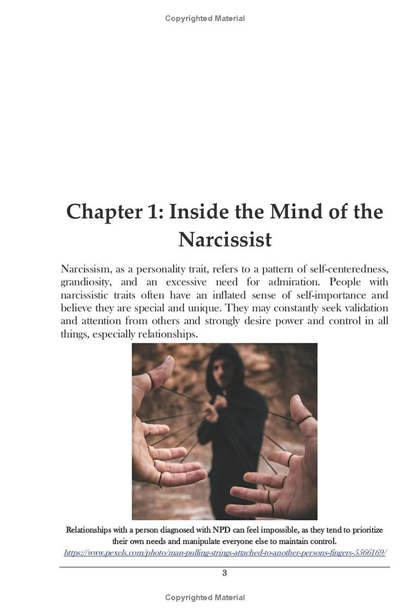 Narcissistic Abuse Recovery: A Guide to Reclaiming Your Life, Rebuilding Boundaries, and Rediscovering Your Authentic Self (Interpersonal Mastery)