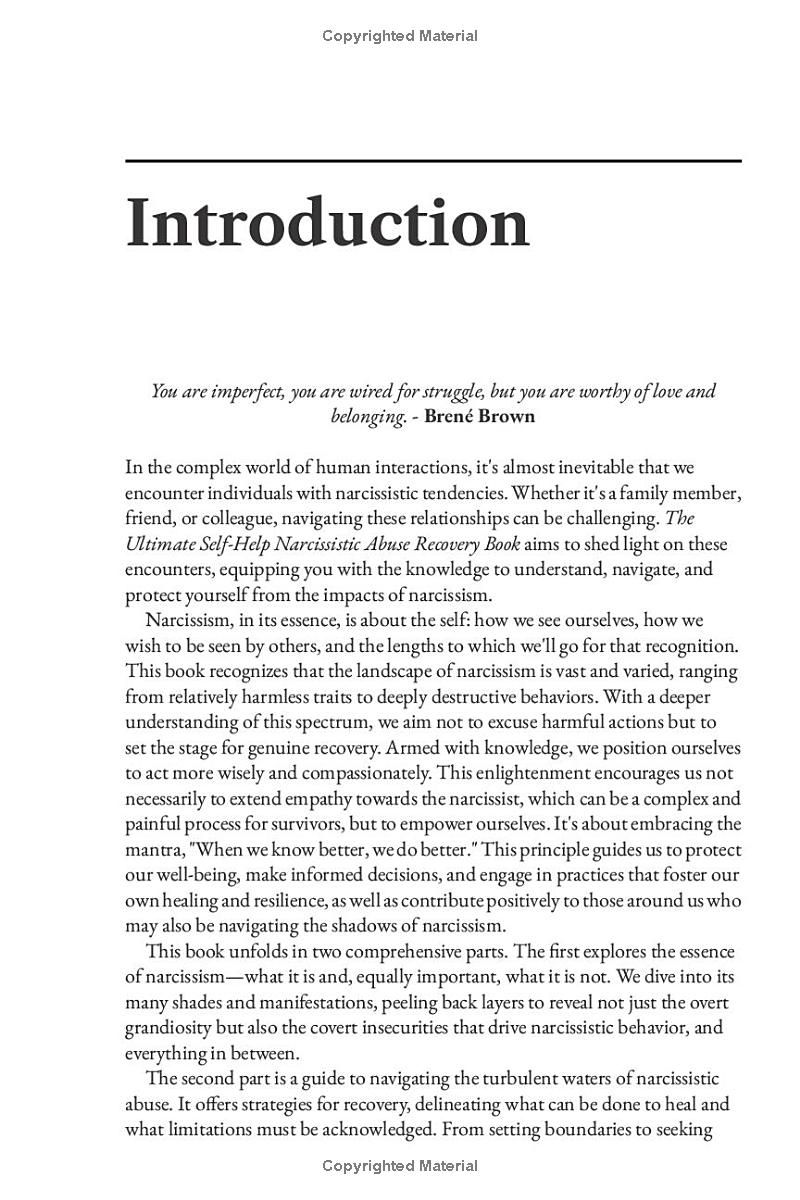 The Ultimate Self-Help Narcissistic Abuse Recovery Book: What Narcissism Is, What It Isnt, What You Can Do About It, and What You Cant (Inner Peace Revolution)