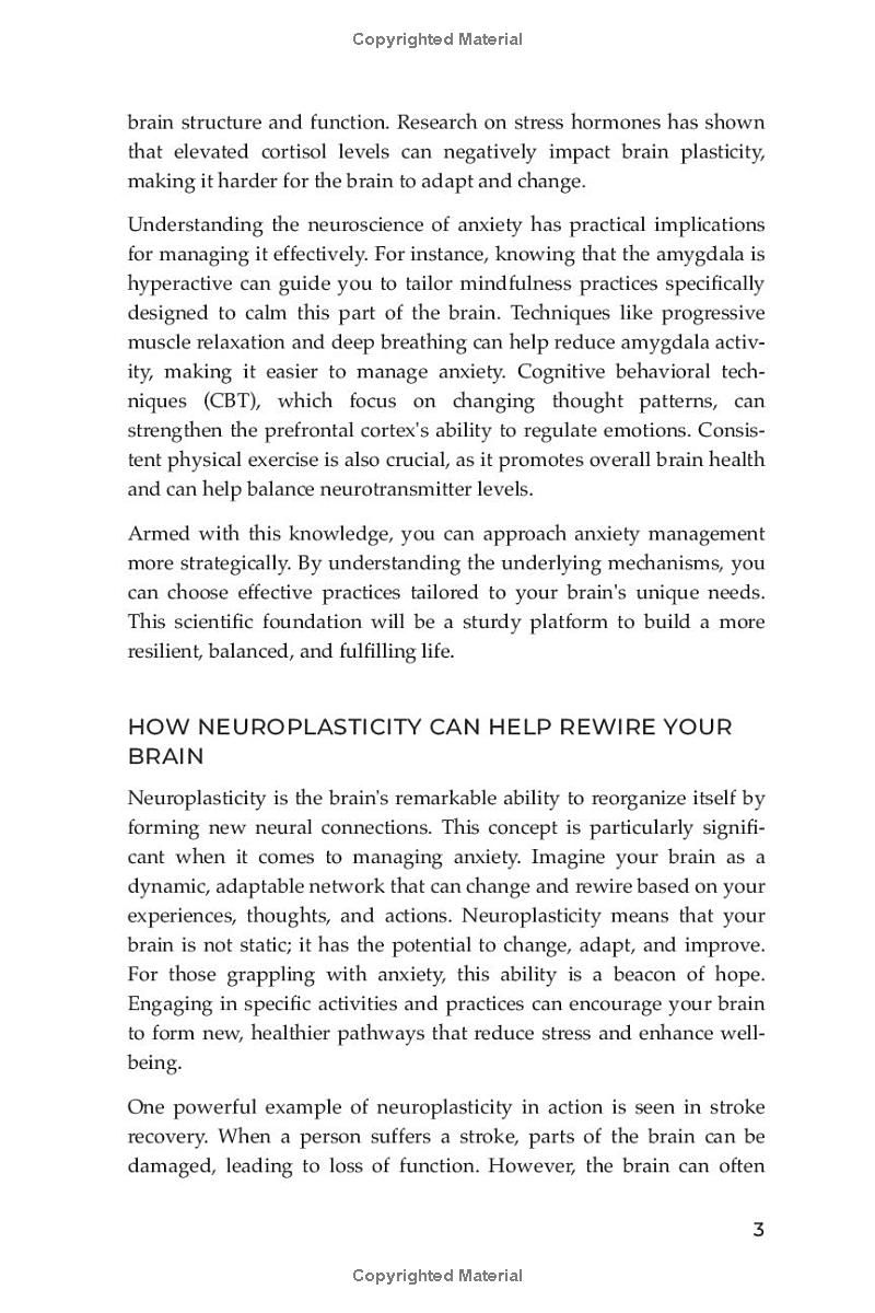 Practical Guide To Rewire Your Anxious Brain: Effective Strategies to Increase Work Life Balance, Build Resilience, Manage Anxiety, and Boost Overall Health