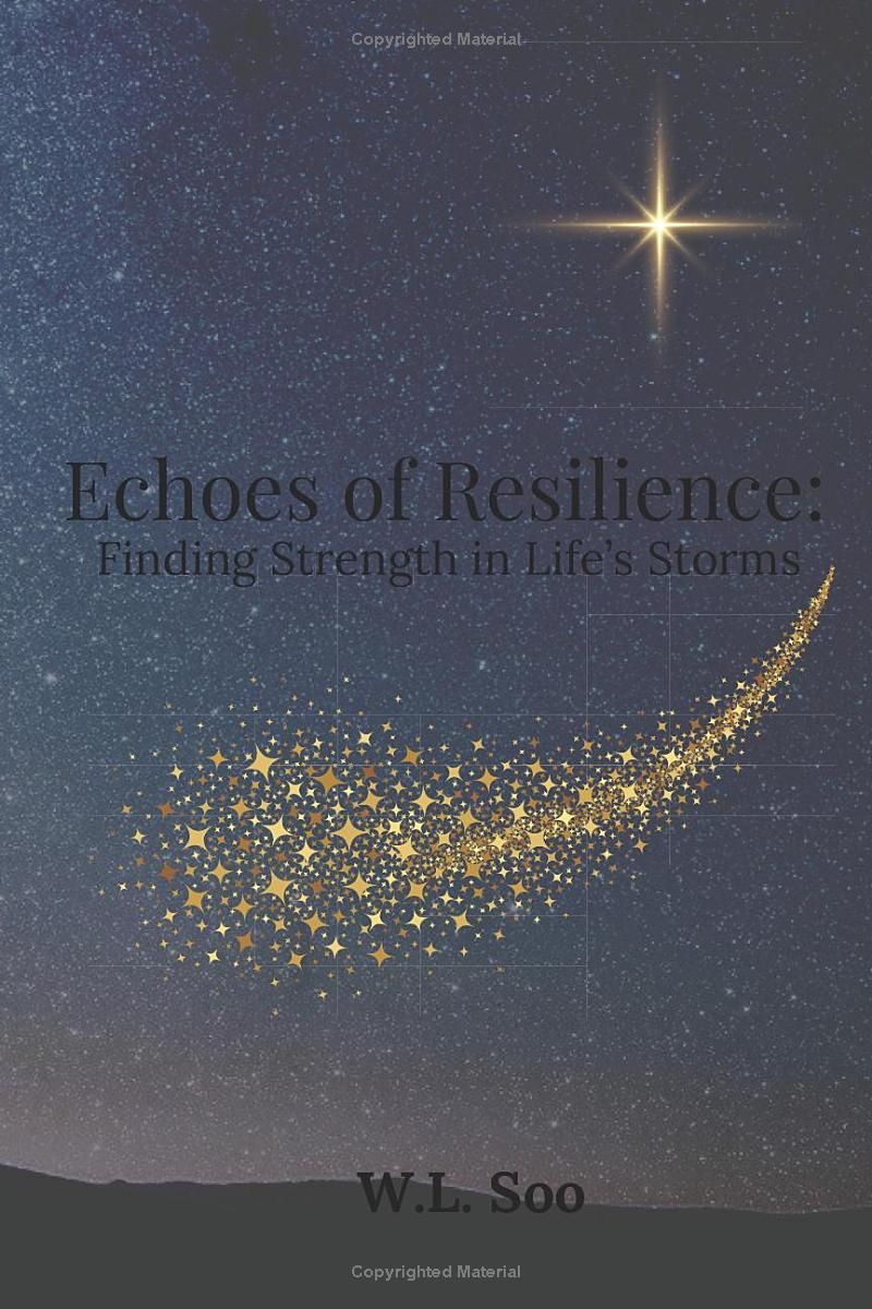 Echoes Of Resilience: Finding Strength in Lifes Storms