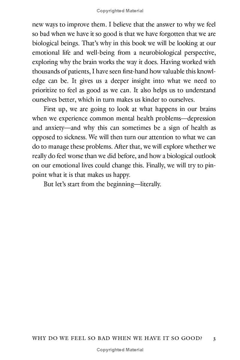 The Happiness Cure: Why Youre Not Built for Constant Happiness, and How to Enjoy the Journey